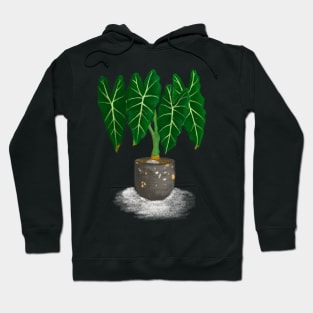 Alocasia Frydek Rare Plant Hoodie